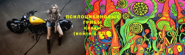 тгк Арсеньев