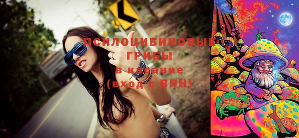 молекула духа Аркадак
